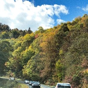 Meet your Posher, Mal